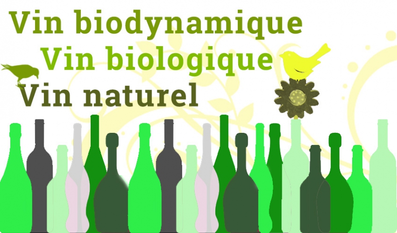 Quelles différences entre vin bio, biodynamique et vin naturel ?